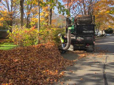 Curbside leaf pickup